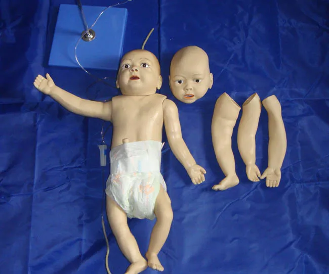 

A Model of Whole Body Venous Puncture in Infants