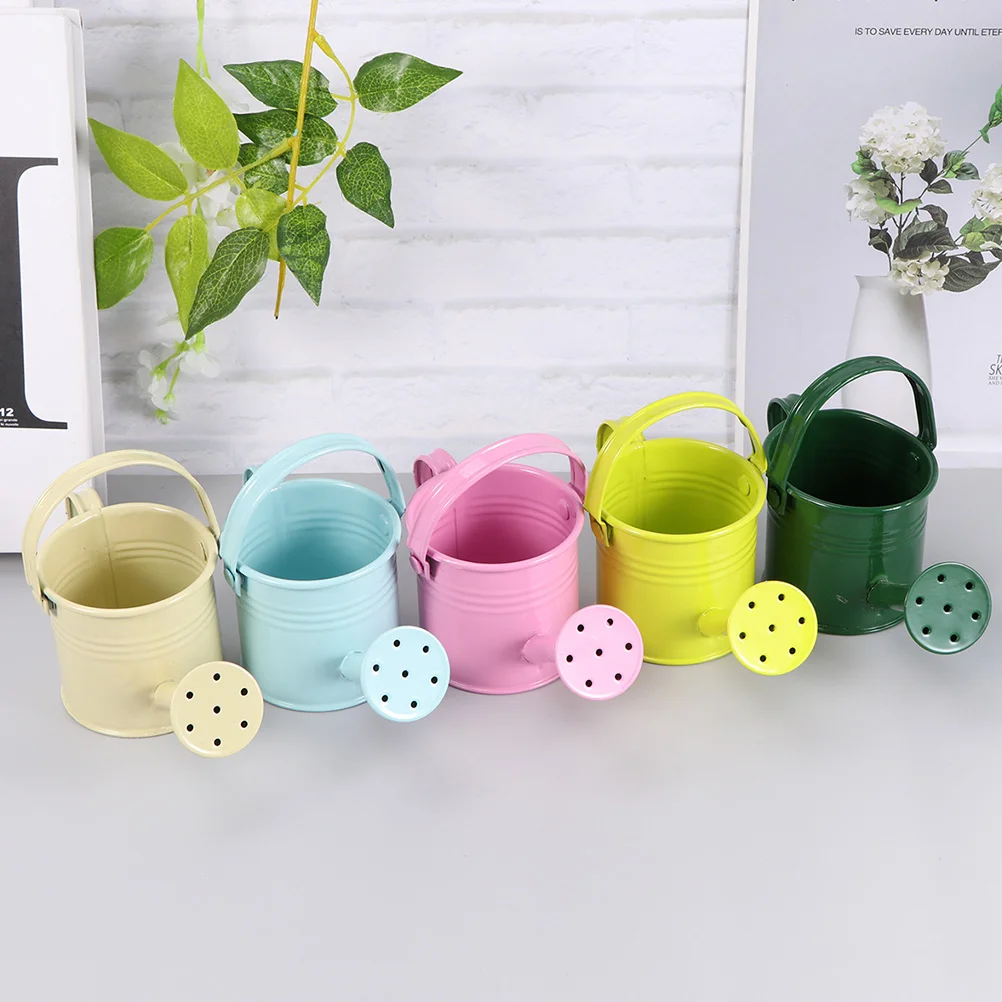 

Watering Can Water Pot Flower Kettle Plants Bucket Mini Metal Long Pots Waterer Garden Sprinkle Mouth Home Steel Gardens Tiny