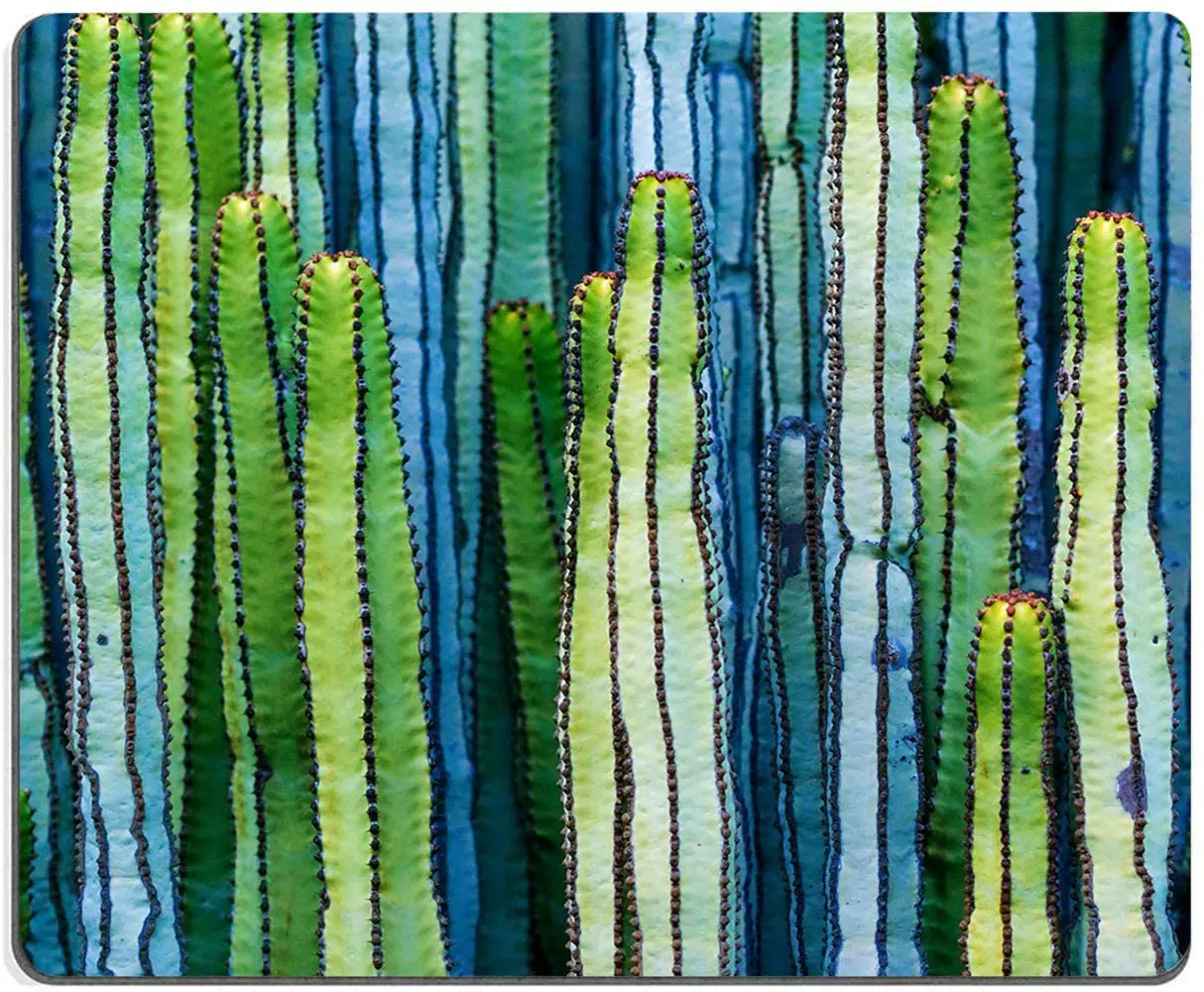 

Abstract Plant Print Art Mouse Pad Professional Gaming Mouse Mat Waterproof Mouse Pad Non-Slip Rubber Base MousePads 9.5x7.9in