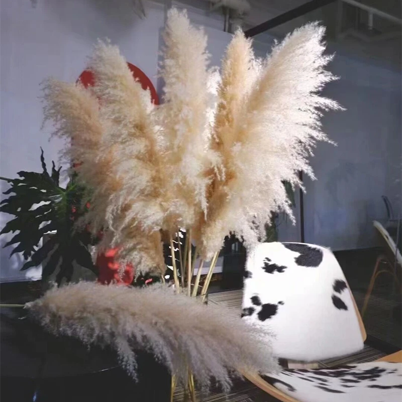 

Pampas Grass Large 80-120cm Dried Flowers Wedding Bouquet Home Decor Tall Fluffy Stems Living Room Garden ​Decoration Reed