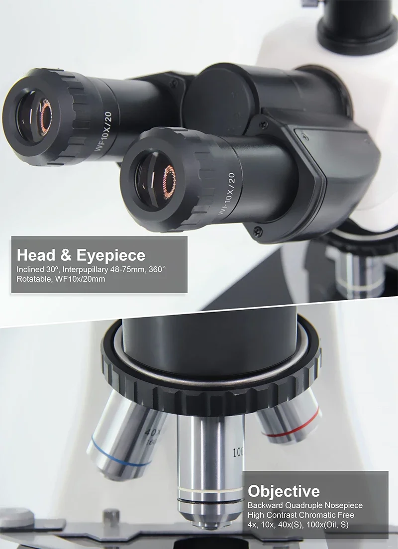 

A33.1502 HD 8.0M 1000x Trinocular Biological Educational Video Digital Microscope With Lcd Screen