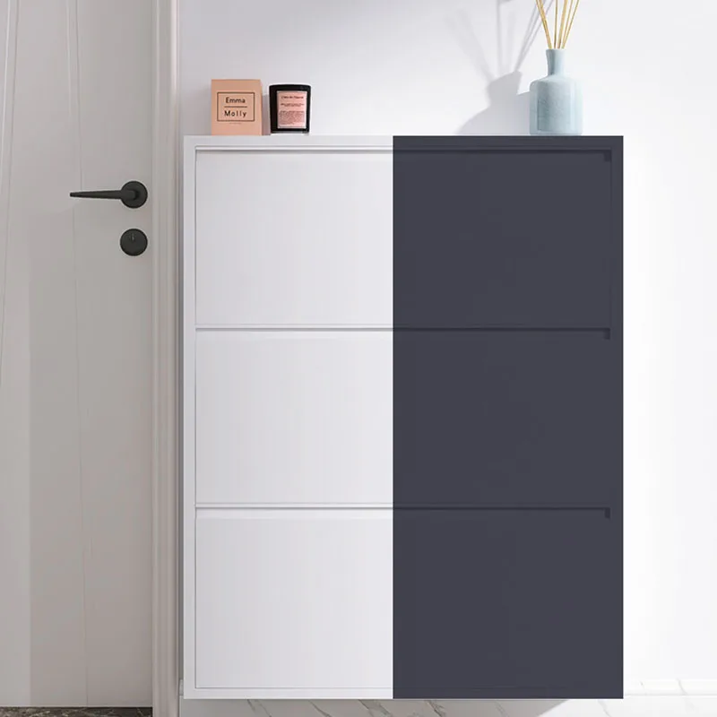 

Modern Entrance Vertical Shoe Cabinets Dust Proof Sleek Ultra Thin Shoe Cabinet Spaace Saaving Zapatero Living Room Cabinets