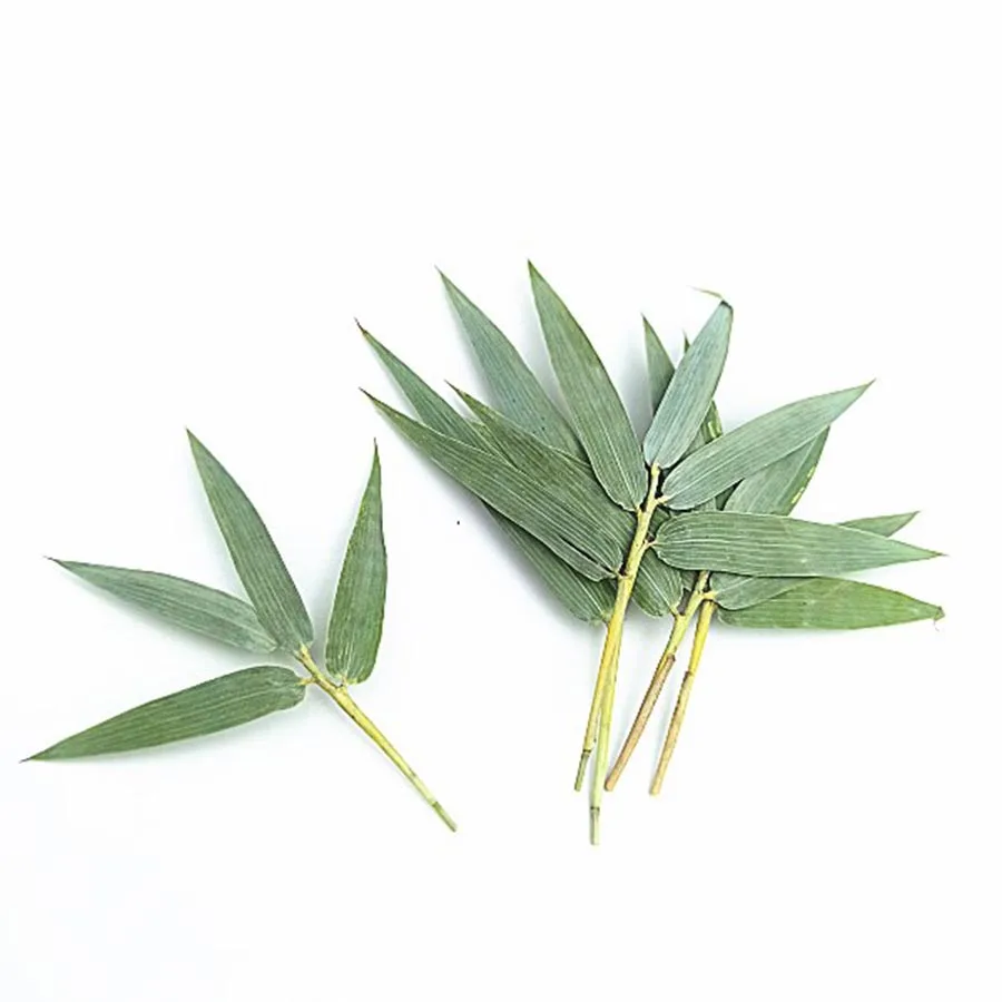 250 шт. зеленые бамбуковые листья и травы |