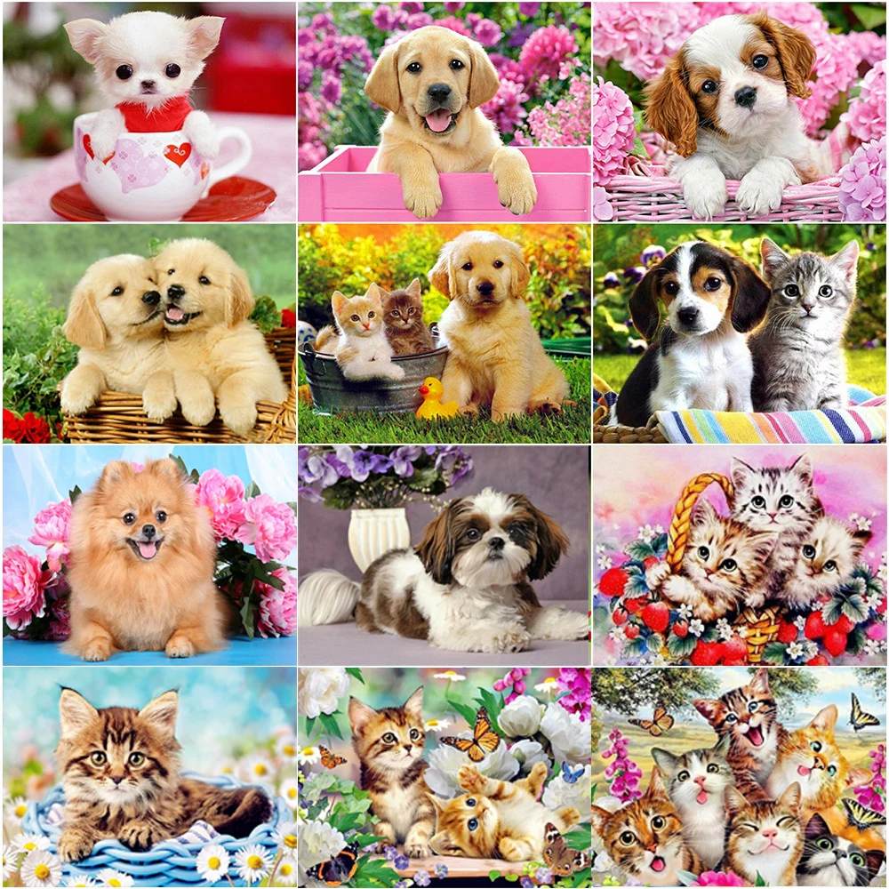 Алмазная вышивка 5D Кот и собака |