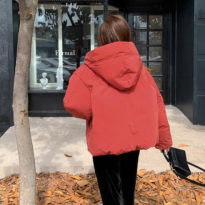 Autumn and Winter Hooded Down Jacket Women's Thin Solid Colour Thickened Cotton Clothing White Duck Down Short Section Jacket