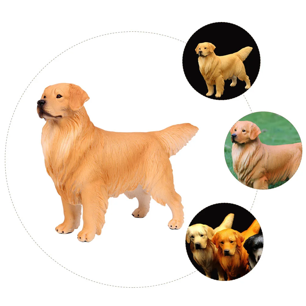 Рисунок 4 - Золотистый ретривер