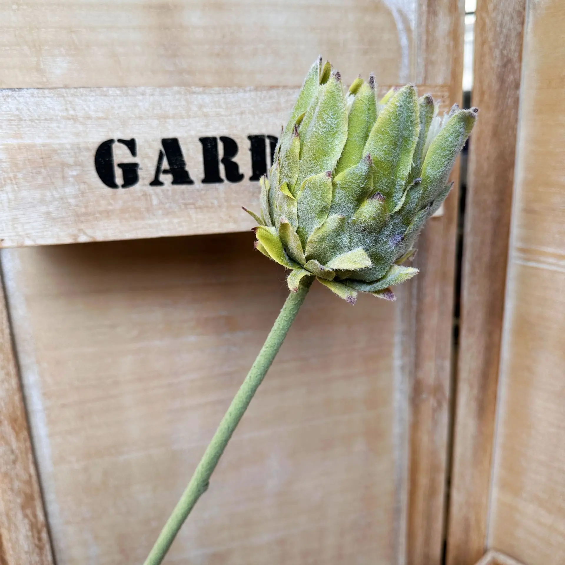 

Искусственные цветы King Protea пластиковые