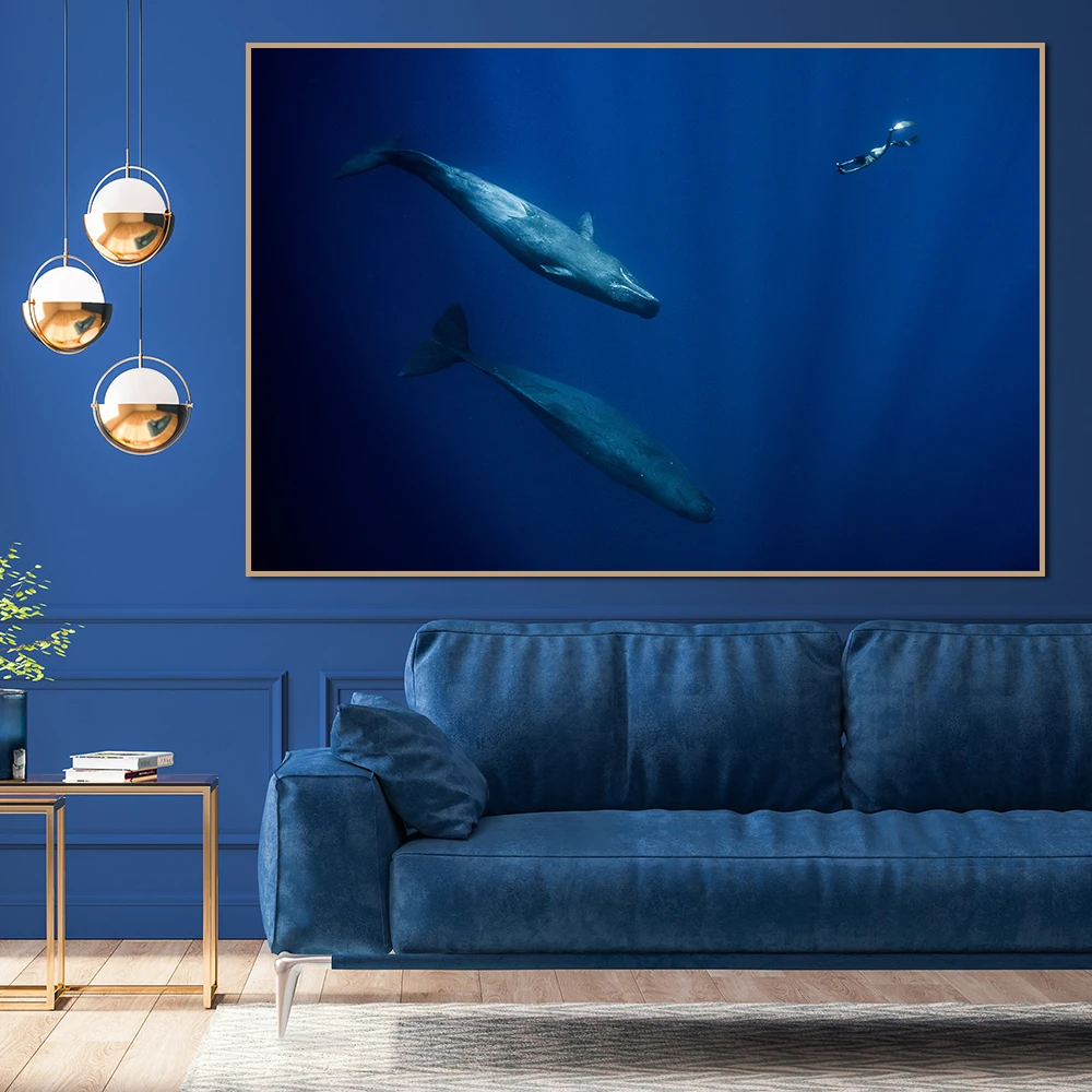 

Whale Shark And Diver Photo Print Canvas Painting Modern Wall Art Poster Blue Ocean Life Picture Living Room Home Decor Cuadros