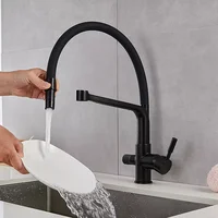 Water Purification Kitchen Faucet Black Hot and Cold Rotating Pull Out Brass Material Sink Mixer Drinking and Washing Tap