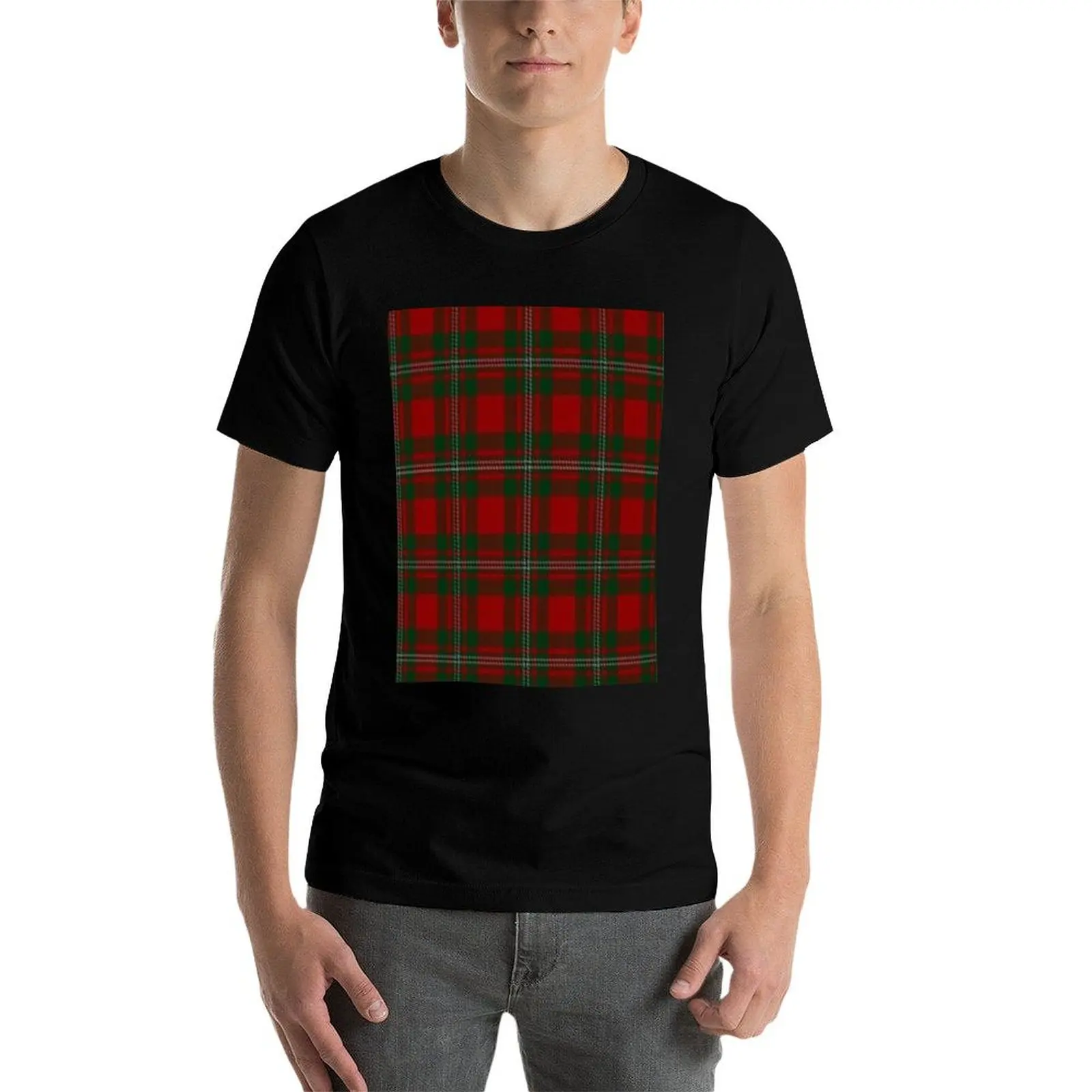 Фото Футболка Scottish MacGregor Clan Tartan Products, дышащая футболка большого размера №4