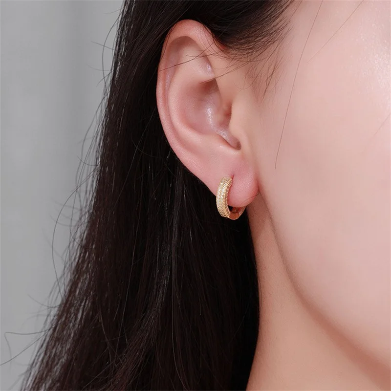 ZFSILVER Fashion Trendy Classic s925 Silver Moissanite Design Luxury Double Row Earring For Women Accessories Jewelry Gift RH084