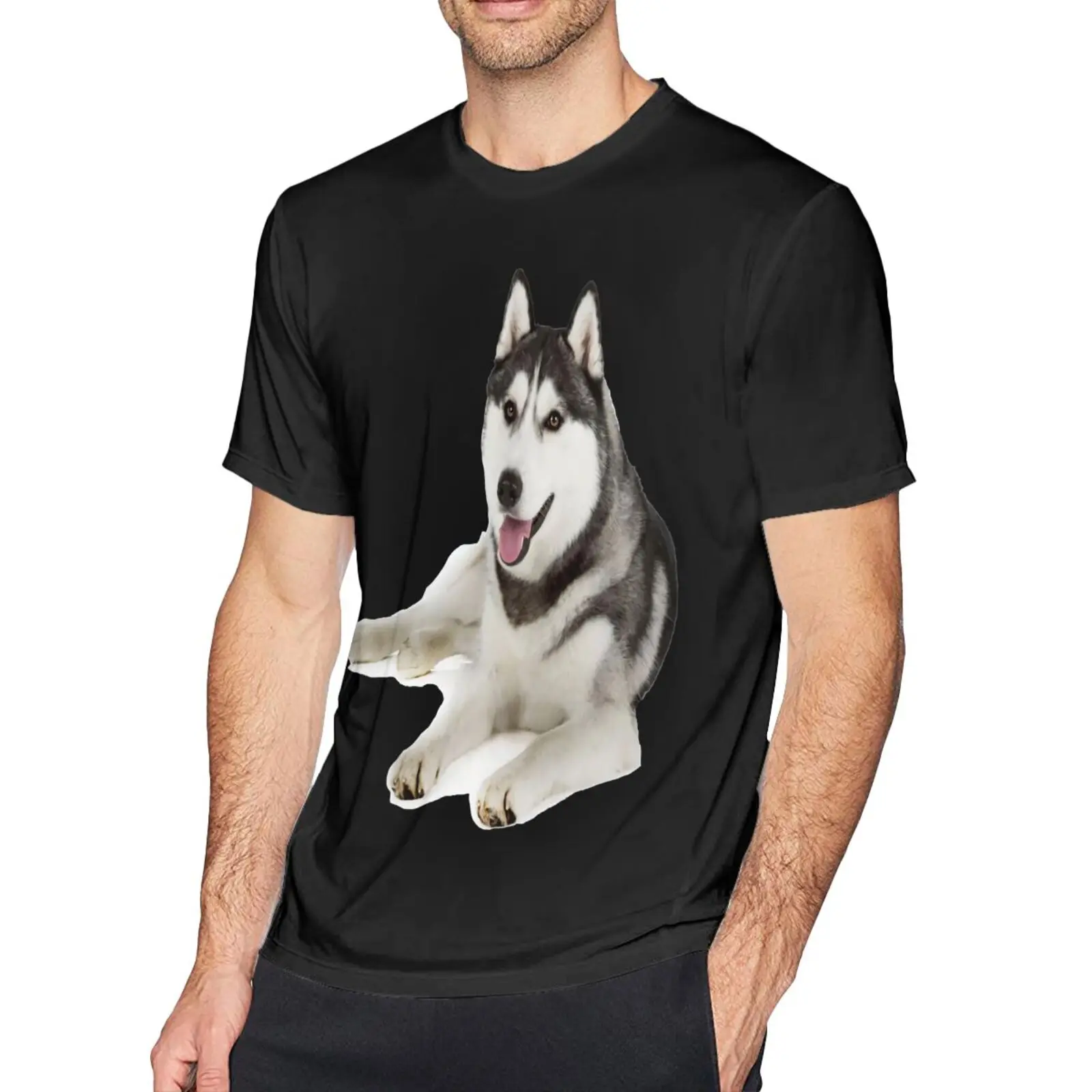 

Футболка мужская оверсайз с изображением Сибирского хаски собаки СИБ топ с коротким рукавом