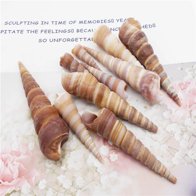 

10 шт., 30-90 мм, подвески из натуральных ракушек, винтовая раковина, домашний декор для аквариума, сделай сам, ручная работа, украшение для изгот...