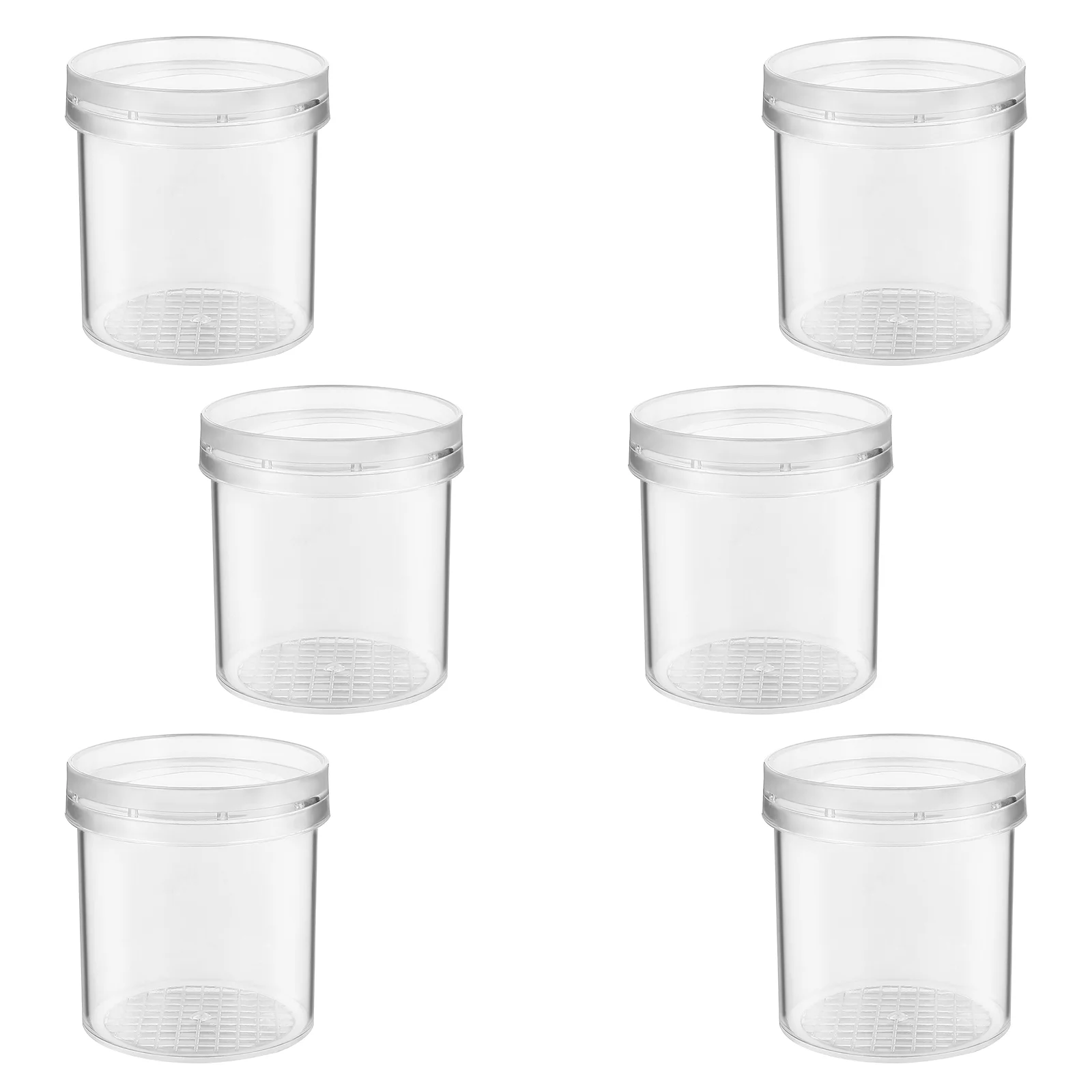 

6pcs Magnifying Bug Viewer Lightweight Practical Bug Magnifier Critter Cage for Outdoor