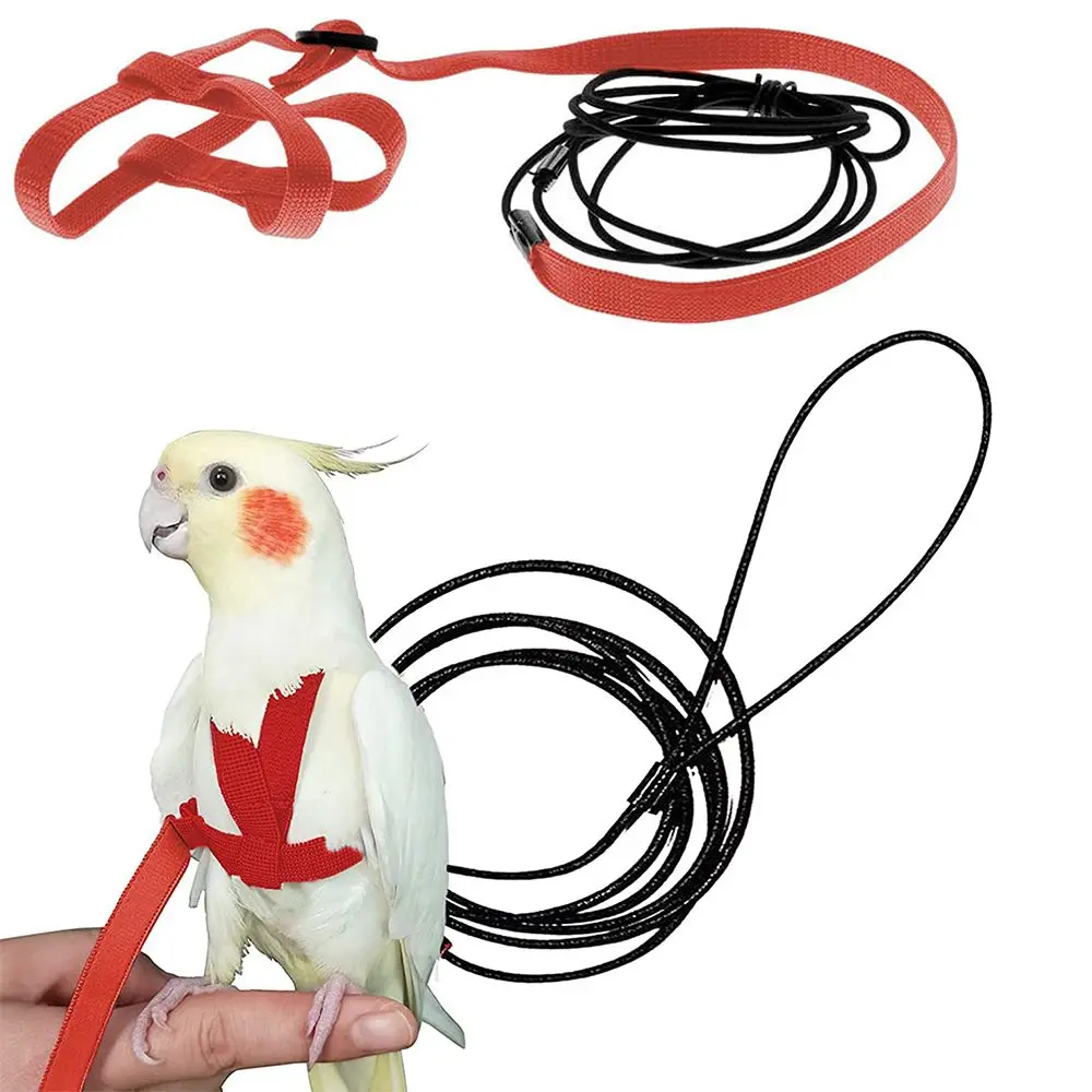 

Flying Traction Rope Flying Traction Straps Band Bird Leash Bird Harness Leash Parrot Flying Rope Parrot Harness