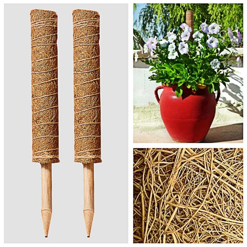 

1 Set 30cm/11.8'' Coir Moss Stick Plant Stake Climbing Plant Supports for Monstera, Pothos, Money Plant Easy to Use
