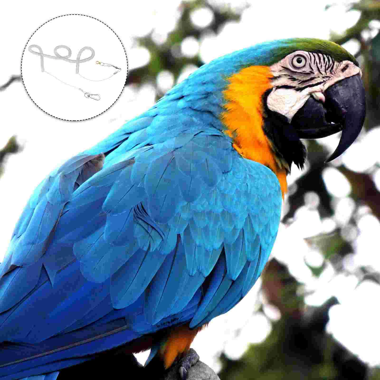 Шлейка для птиц Harness Bird Rope Parrot Leash Conure Parakeet Cockatiel Training Flying Bunny Reptile Anklet Traction Pet Pulling Anti Bite on.