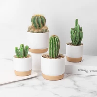 succulent plant pot double layer succulent green dill small green plantflowerpot pots for plants and flowers