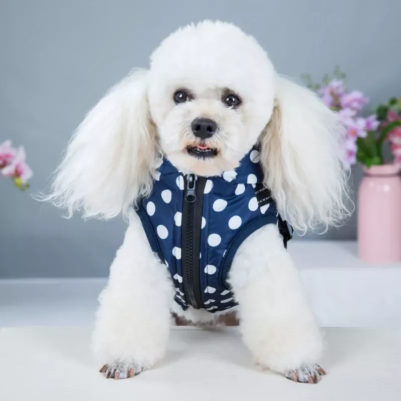 

2022New Harness Coat Winter Skiing Jacket Puppy Outdoor Walking Adjustable Chest Strap Dog Cloth Vest Chihuahua Bulldog