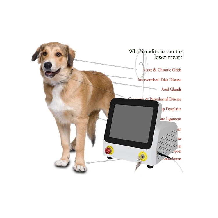 

Portable easy operation household pain relief massager handheld cold laser therapy for veterinary