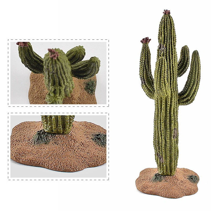 Моделирование зеленого растения кактуса дерева Байбаб куст модель сделай сам