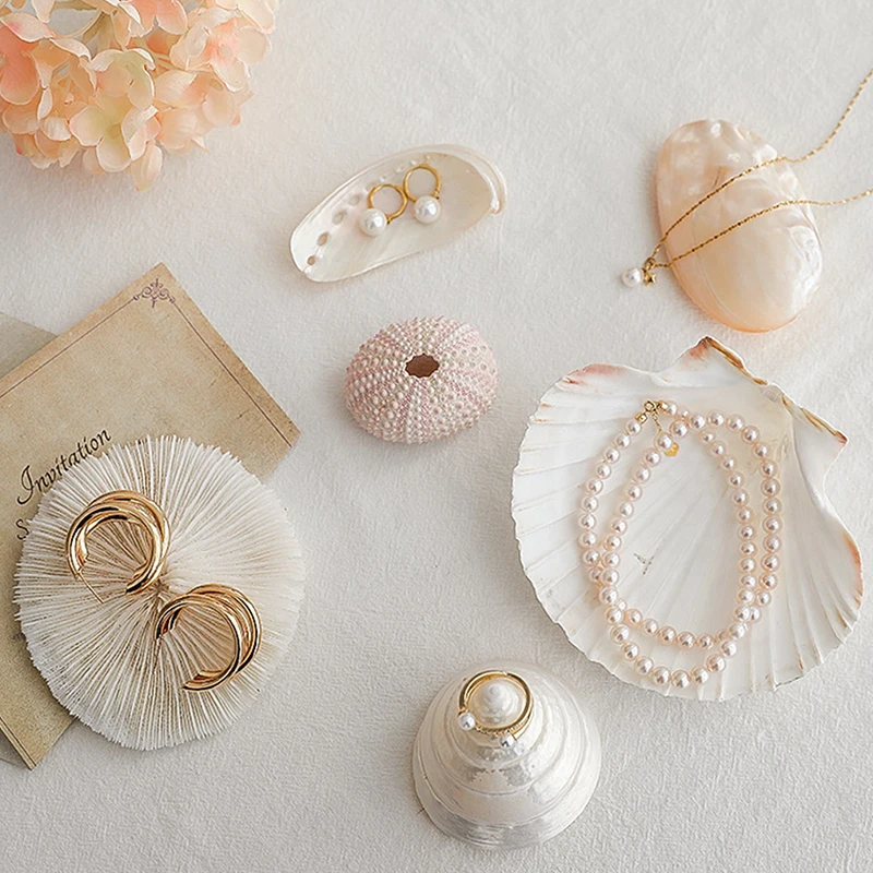 

Jewelry Storage Tray Shell Earrings Ring Necklace Pendant Bracelet Organizer Holder Dish Tray Jewelry Display Storage