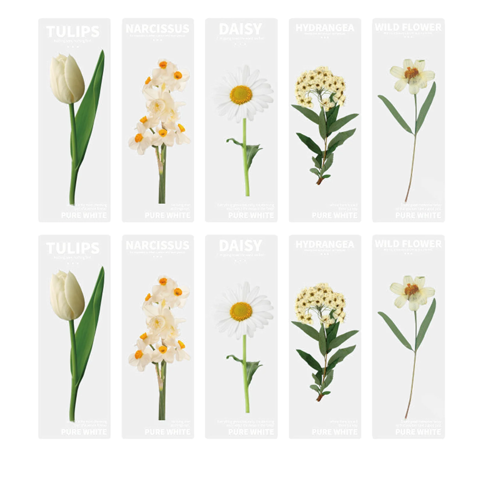 

10pcs Flower Bookmark Rectangle Nature Plants Translucent Office Gift School Supplies Bookworms Stationery Assorted For Reading