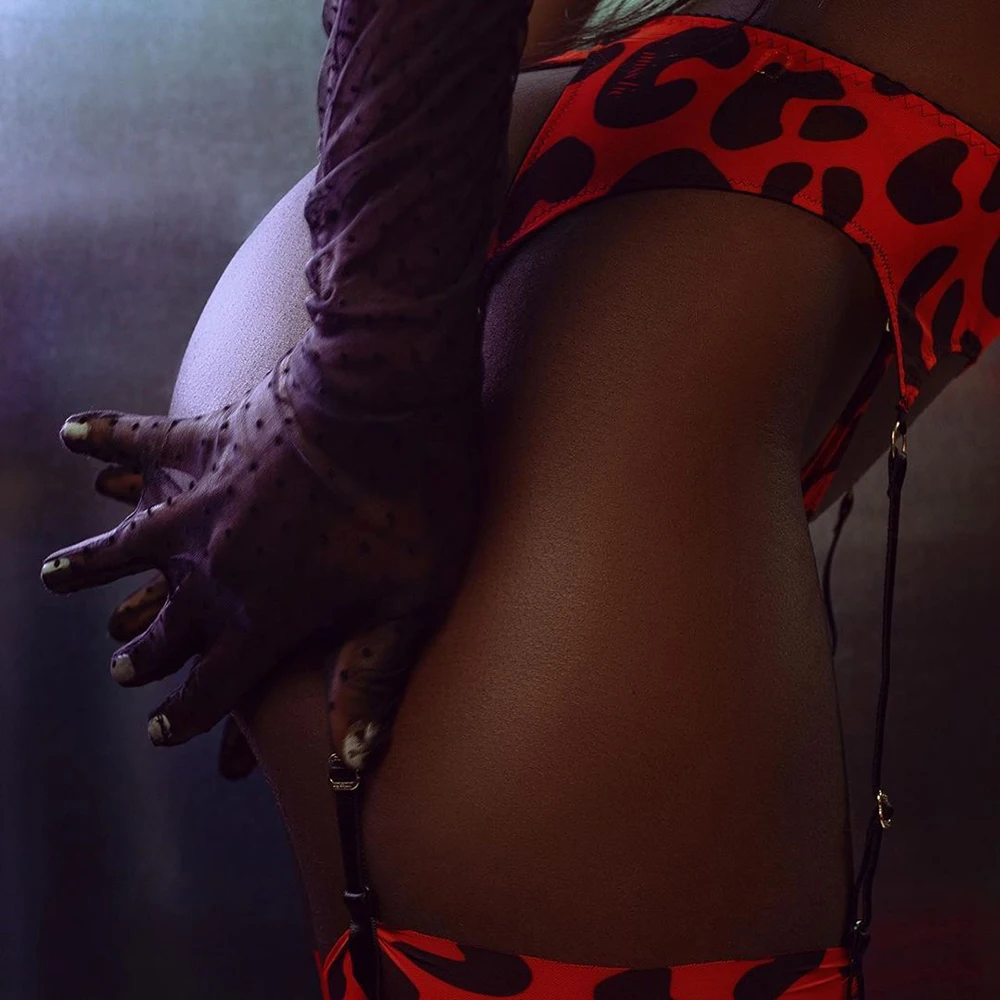 Aduloty Women Lingerie Sexy Erotic Underwear Garter Brief Kit with Stockings Leopard Temptation Printing 5 piece set