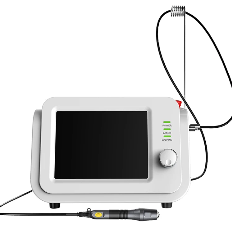 

Class 4 Laser Flashlight 810nm Physiotherapy High Power Laser Therapy