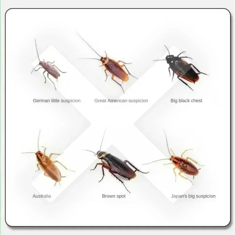 Приманка для кипячения тараканов мощный элиминатор против ручка захвата