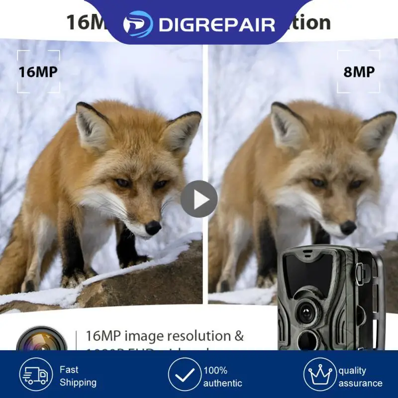 

Outdoor Hunting Trail Camera Motion Activated Hunting Cameras Pir Sensor Night Vision Wildlife Camera Hc801a 1080p Photo Traps