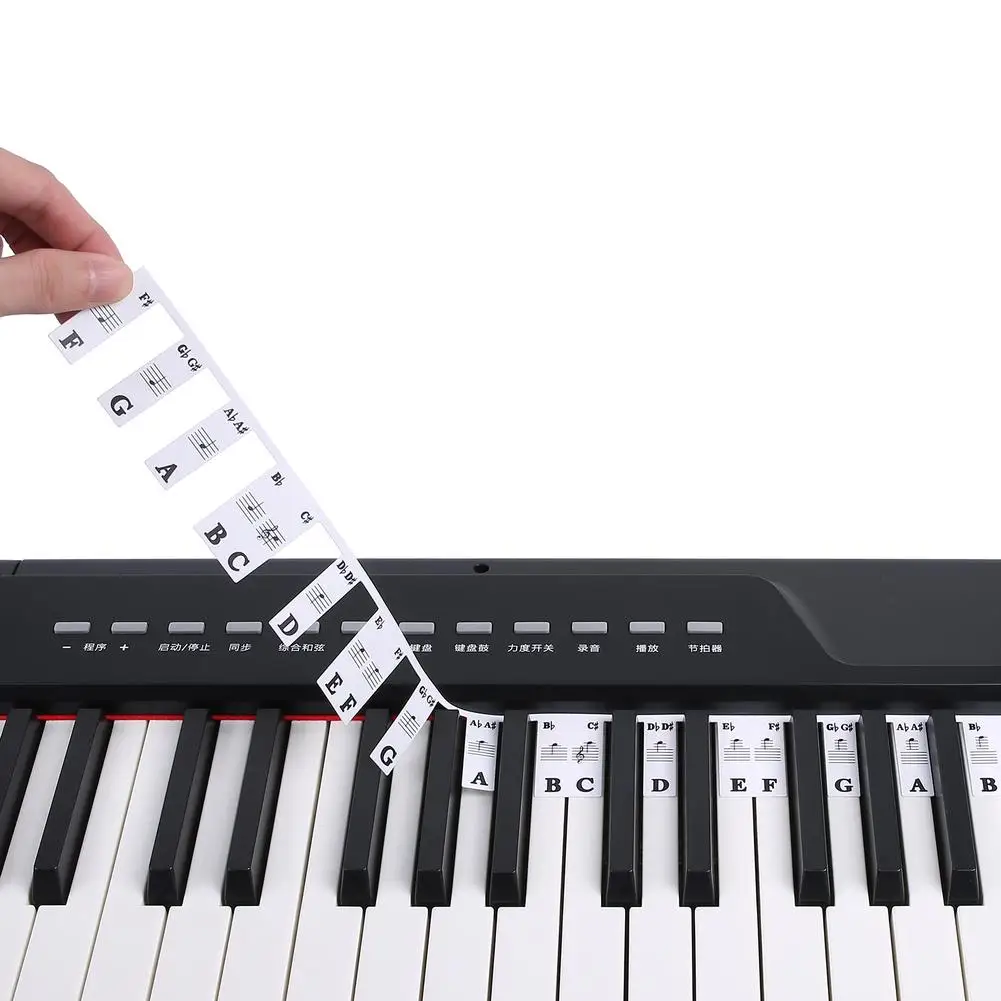 

Piano Keyboard Note Labels 88 Keys / 61 Keys Removable Piano Notes Guide For Beginner Music Notes Sticker