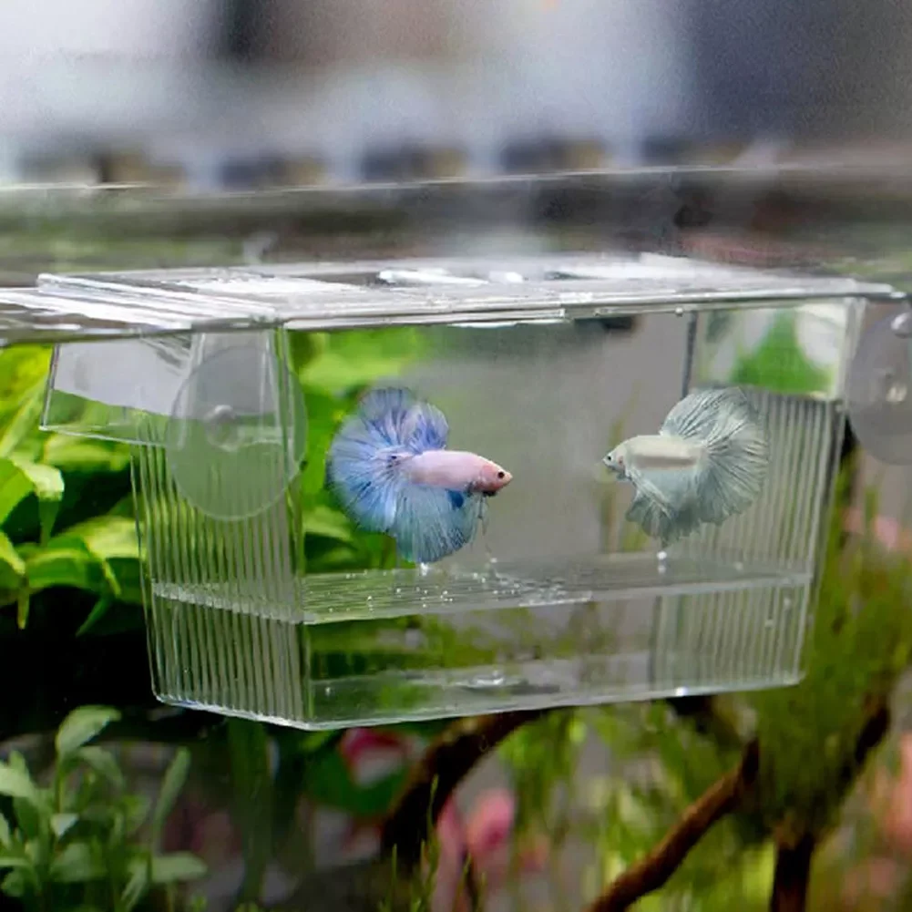 

Breed Incubator Breeder Rearing Trap Box Transparent Acrylic Aquarium Fish Tank Isolation Box Hatchery Holder
