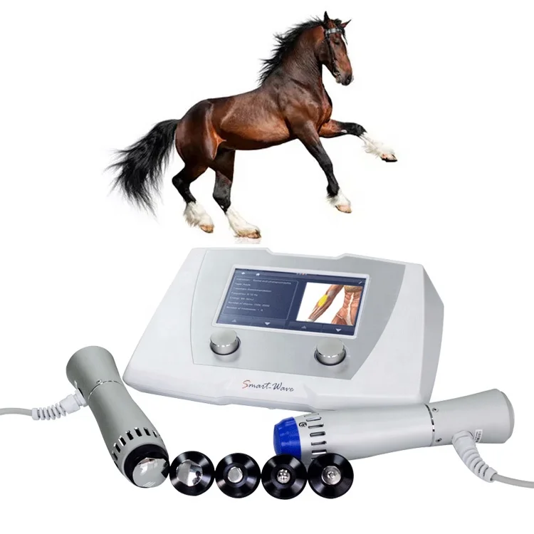 

Animal and Pets Pain Relief Veterinary Shockwave Therapy Equipment