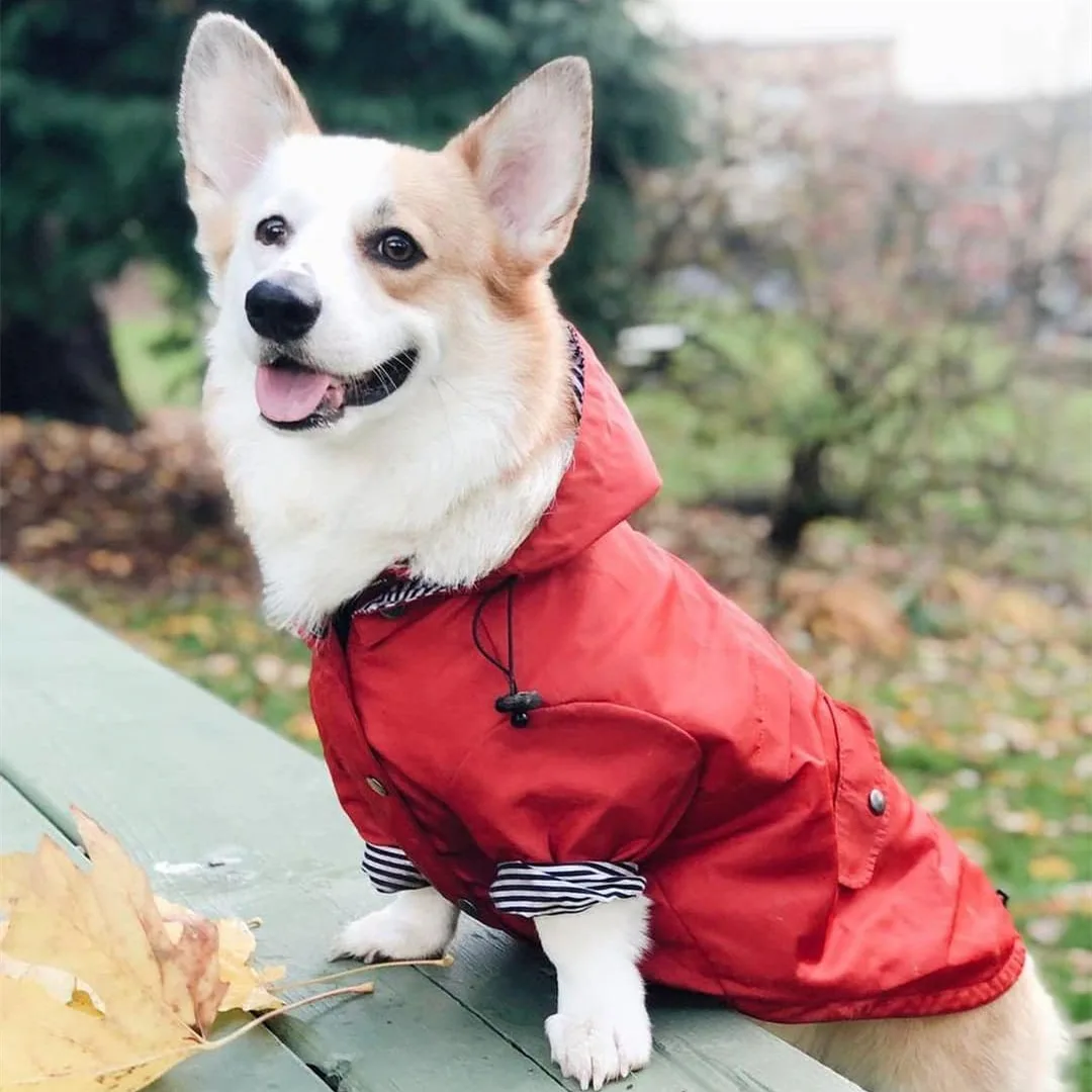 

Dog Jacket INS Explosion Trendy Windproof and Rainproof Retro Thickened Dog Raincoat Dog Pet Jacket for Medium and Large Dogs