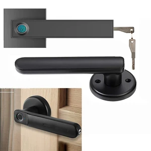 Imported Electronic Smart Lock Semiconductor Biological Fingerprint Handle Lock For Alexa with Keys for Smart