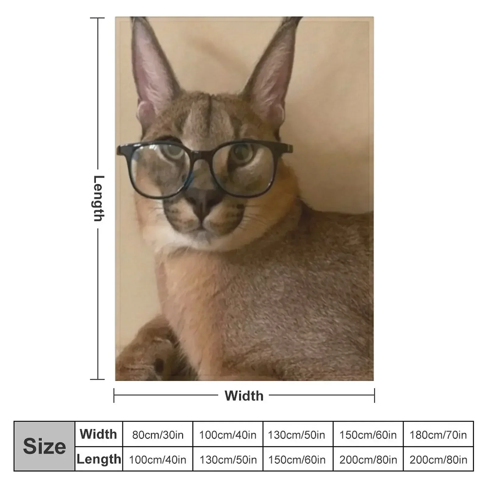 Новое одеяло Studious Floppa роскошные дизайнерские забавные подарочные одеяла