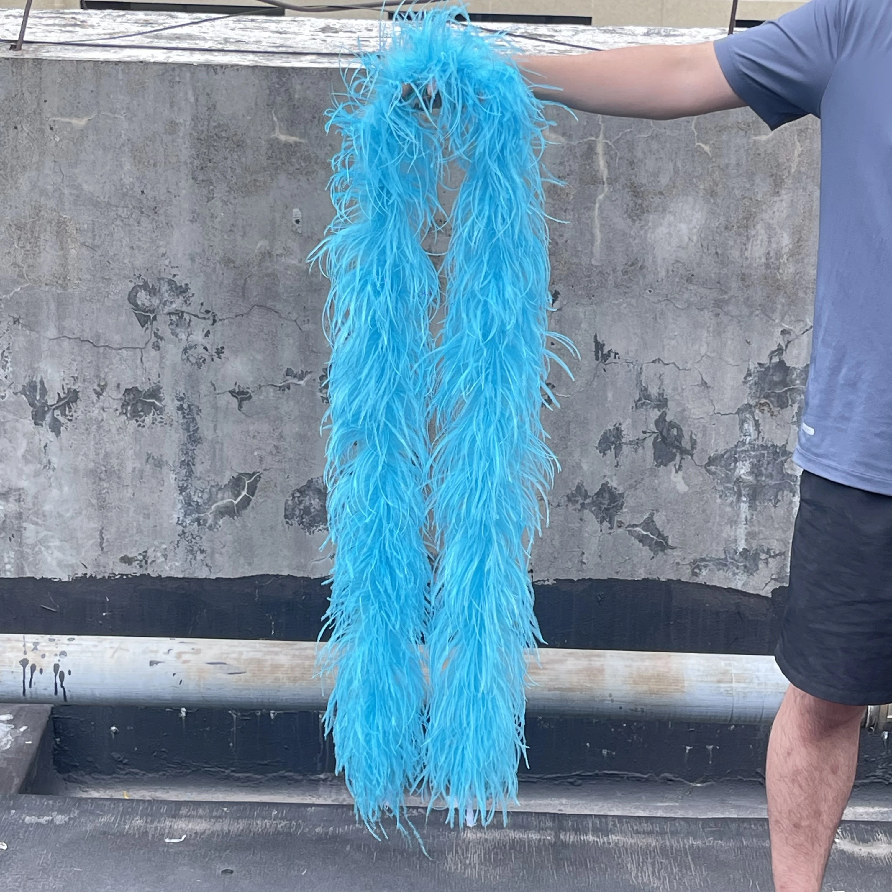 

6 Ply Ostrich Feathers Boa for Wedding Party Dance Shawl Scarf Skirt Clothing Sewing Decoration Crafts Plume Length Customized