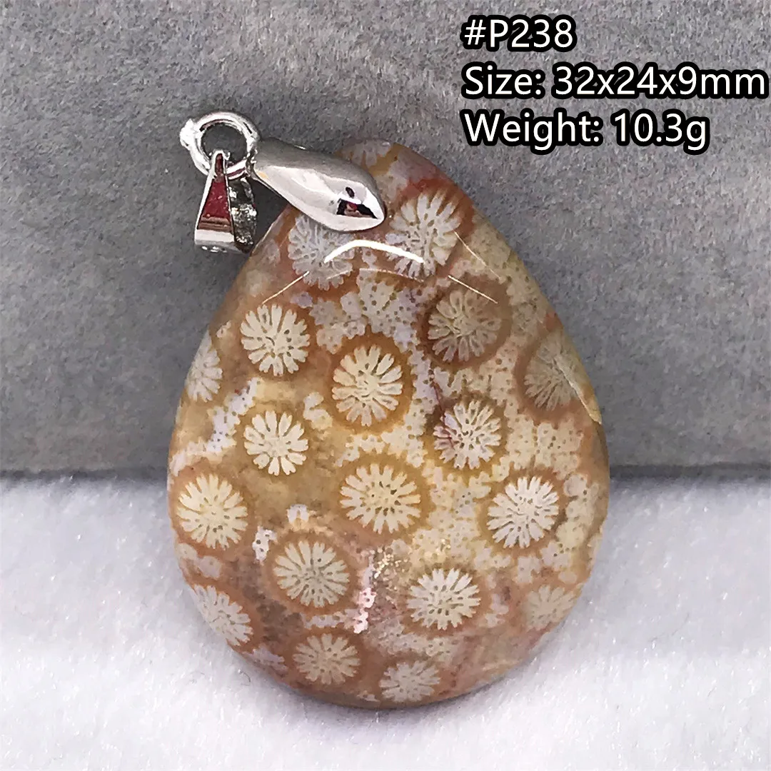 

Natural Precious Coral White Chrysanthemum Royal Pendant Jewelry For Women Men Love Gift Healing Crystal Silver Bead Stone AAAAA