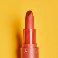 mini matte makeup lipstick waterproof red brown velvet long lasting lipstick waterproof set maquiagemmaquillajes para mujer