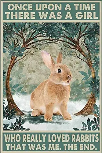 

Металлический знак кролик Once Upon A Time жестяные знаки Новогоднее пасхальное украшение на стену Бар Паб семейное кафе знаки лучшие подарки