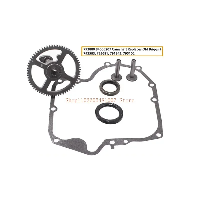 84005207 793880 Запасной комплект распределительного вала для Brigg &amp Stratton 793583 792681 791942