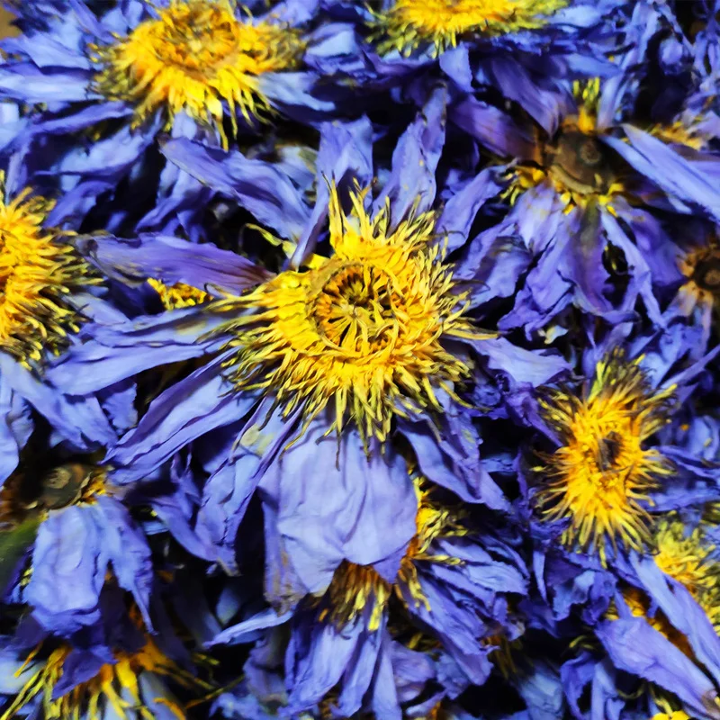 

Dried Nymphaea Caerulea Organic Blue Lotus Whole Blooming Flower