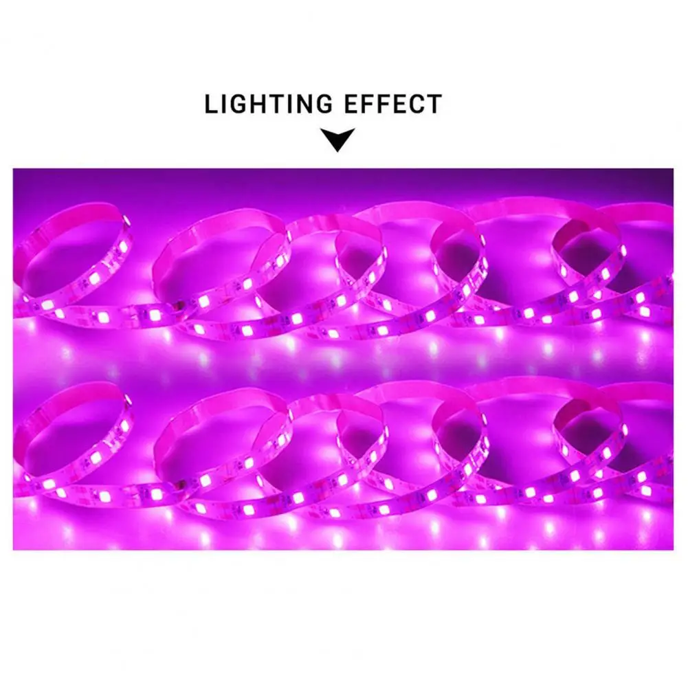 

DIY Reliable Indoor Flower Plant Growth Light Strip Eco-friendly LED Tape Light Double-sided Adhesive for Home
