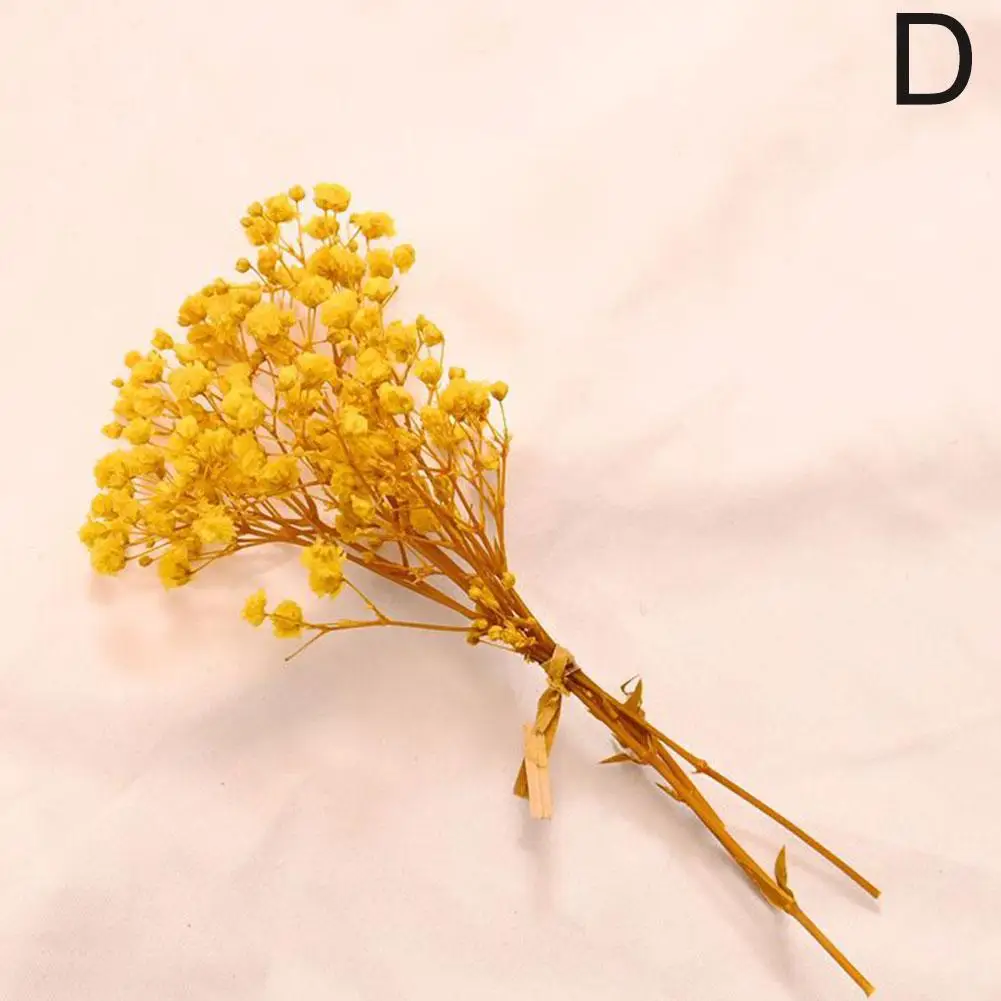 

Сухой букет Babysbreath для декора