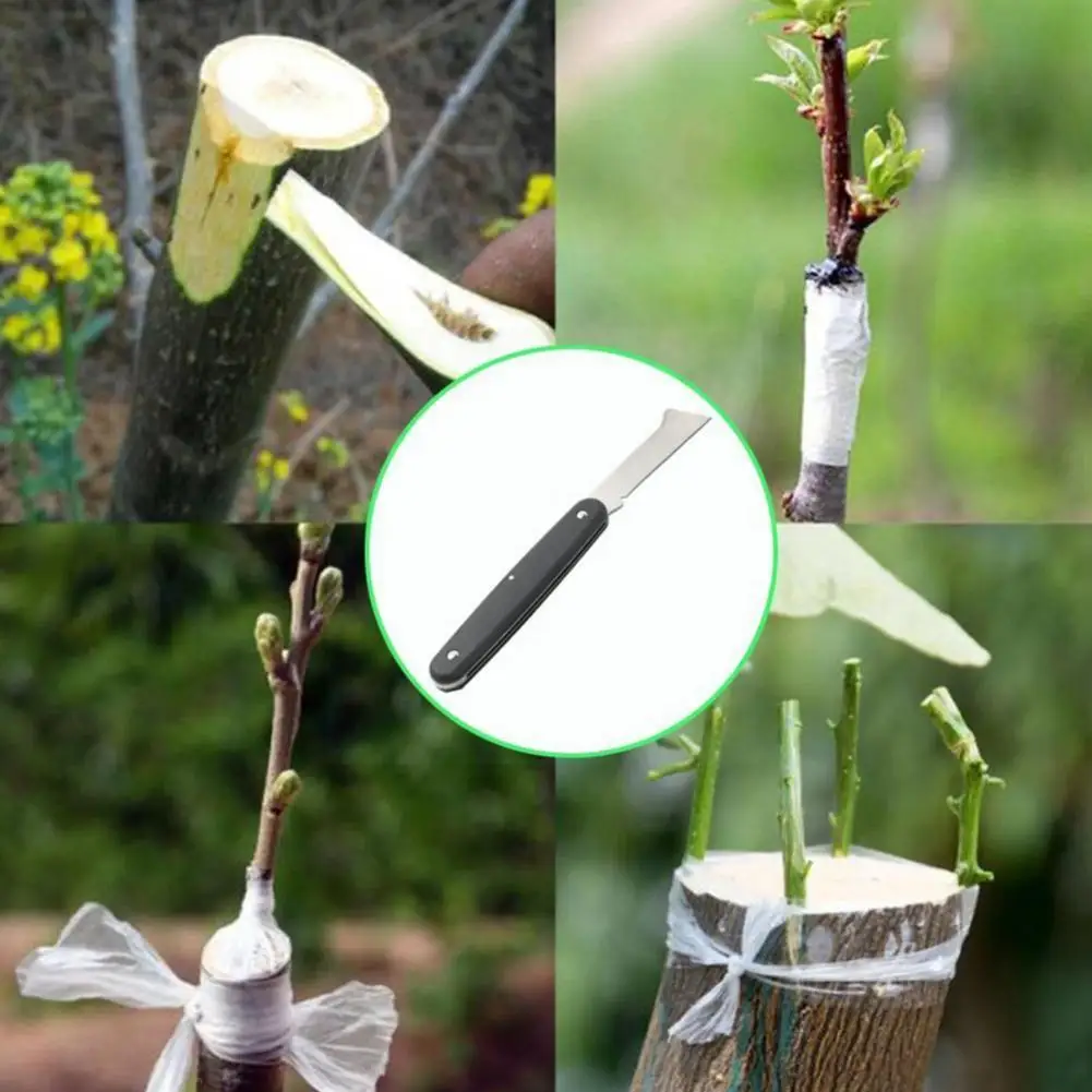 

Fruit Tree Grafting Knife Garden Knife Plastic Single Folding Knife Steel Garden Foldable Multifunctional Tool Diy Plant Prun