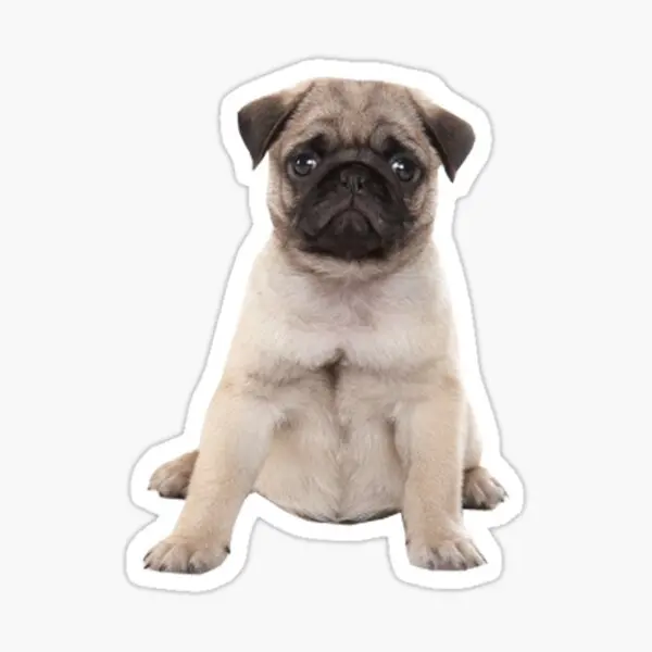 

Pug Irkı Type Dog Sticker Car Auto Bonding 17CM B8