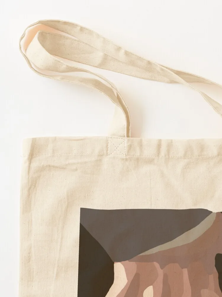 Mr. Darcy ручная Гибкая Сумка-тоут подарочные сумки женские Холщовая