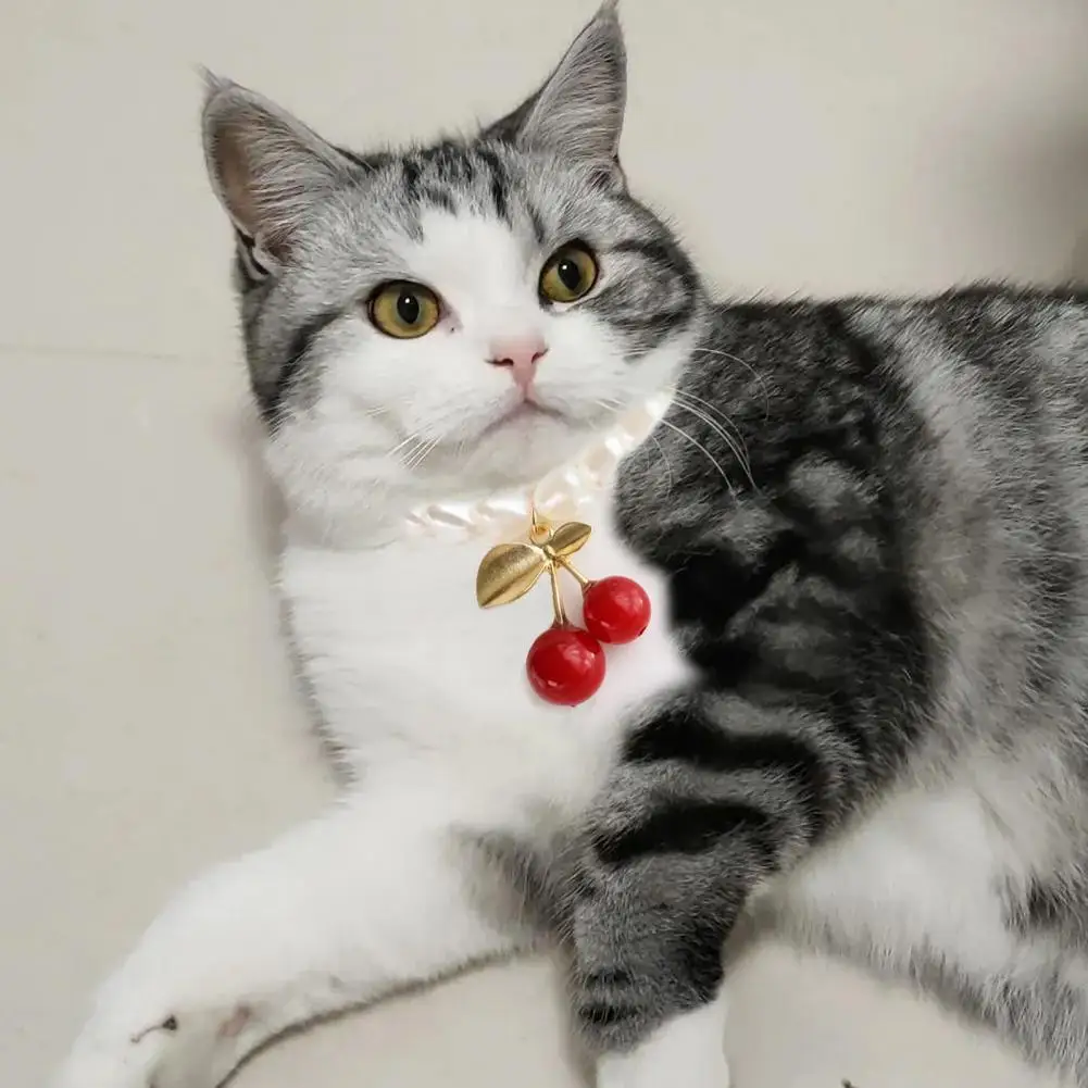 

Dropshipping!Cat Necklace Adorable Decorative Plastic Strawberry Cherry Pet Pearl Necklace For Outdoor
