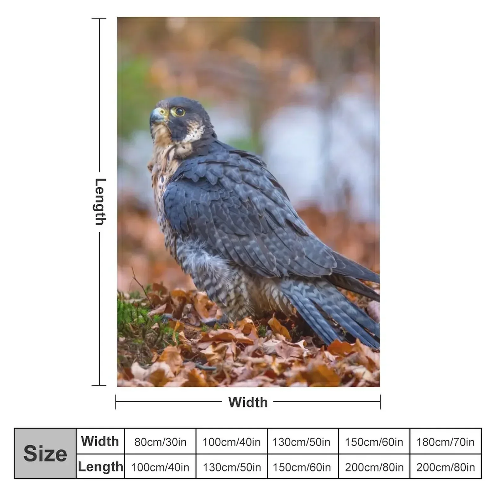 Новое одеяло с сапсанными соклами дизайнерские рождественские украшения одеяла